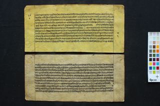 Pāraskara Gṛhyasutra Bhāṣya folio 3