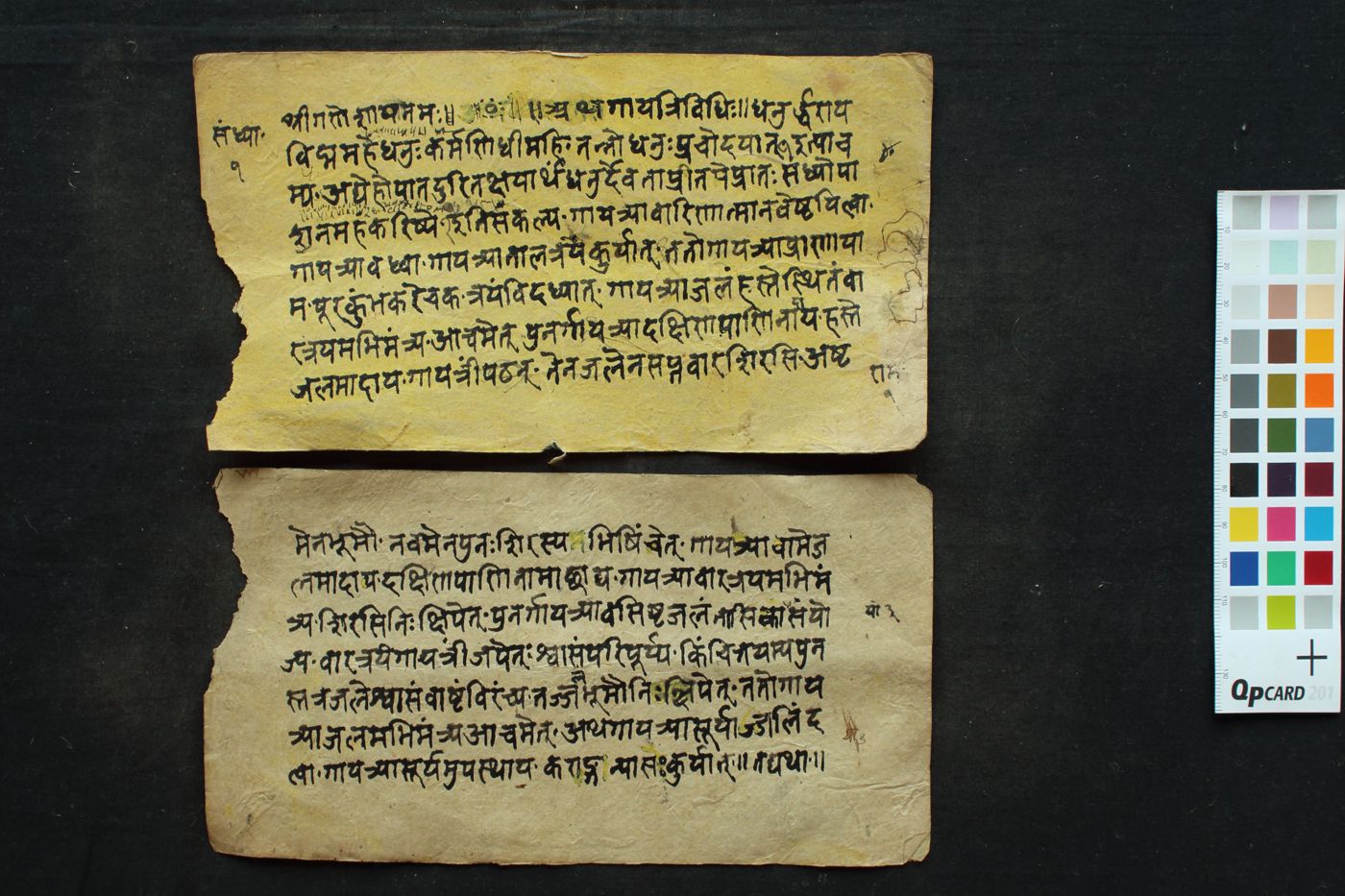 Sandhyā Vidhi manuscript preview