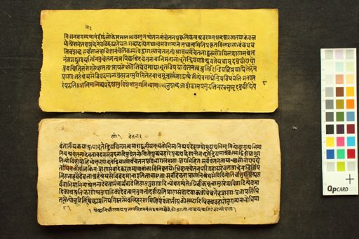 Śārīraka-Mīmāṃsā-Sutra-Bhāṣya manuscript preview