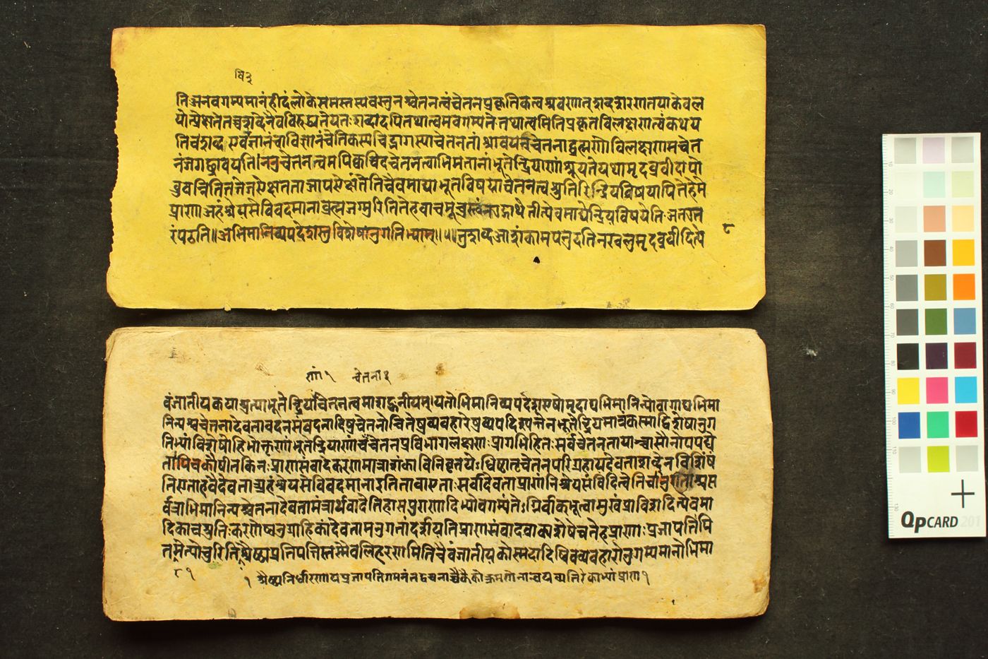 Śārīraka-Mīmāṃsā-Sutra-Bhāṣya manuscript preview