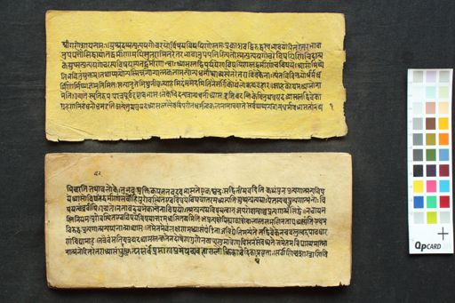 Śārīraka-Mīmāṃsā-Sutra-Bhāṣya manuscript preview