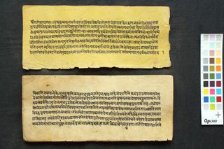 Śārīraka-Mīmāṃsā-Sutra-Bhāṣya folio 1