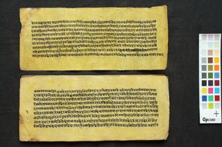 Śārīraka-Mīmāṃsā-Sutra-Bhāṣya folio 3