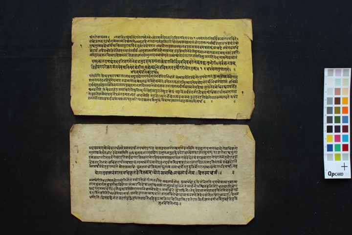 Pātañjala Bhāṣya manuscript preview