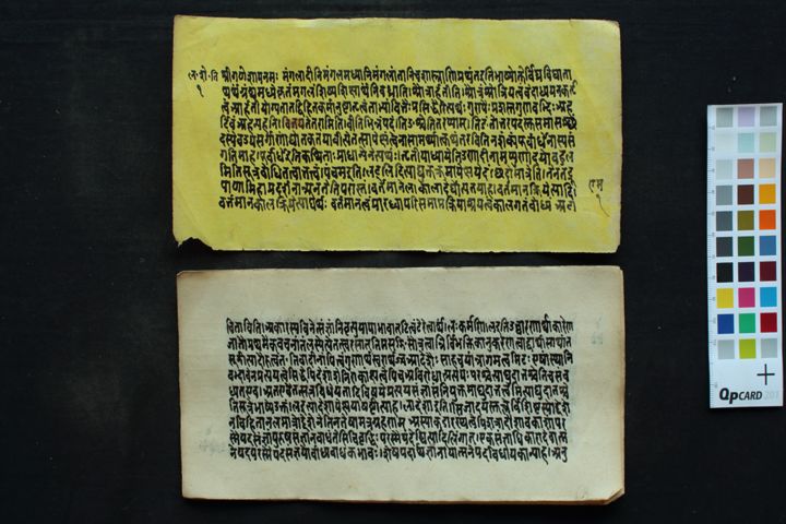 Laghu śabdendu śekhara manuscript preview