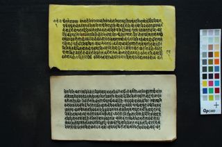 Laghu śabdendu śekhara folio 1