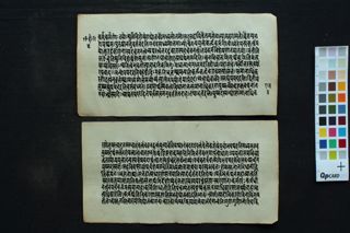 Laghu śabdendu śekhara folio 4