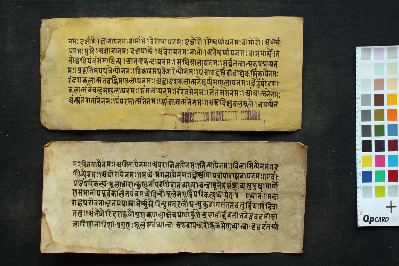 Collection of Stotra (Gāyatrī Aṣṭottara Śatadivya nāmastotra, Sāvitrīpañjara Vibhāga yoga) manuscript preview