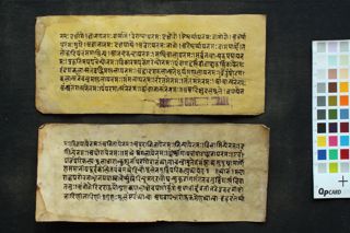 Collection of Stotra (Gāyatrī Aṣṭottara Śatadivya nāmastotra, Sāvitrīpañjara Vibhāga yoga) folio 1