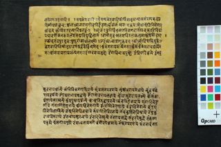 Collection of Stotra (Gāyatrī Aṣṭottara Śatadivya nāmastotra, Sāvitrīpañjara Vibhāga yoga) folio 3