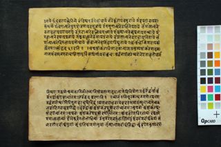 Collection of Stotra (Gāyatrī Aṣṭottara Śatadivya nāmastotra, Sāvitrīpañjara Vibhāga yoga) folio 4