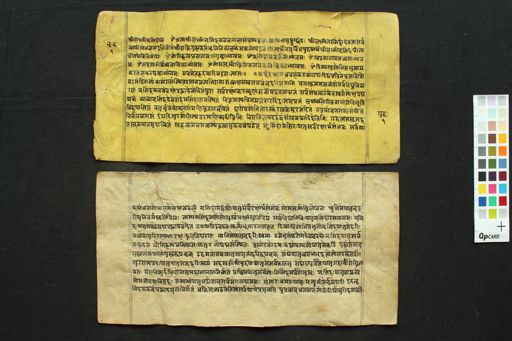 Collection of Stotra (Lakṣmī Nṛsiṃha kavacam, Hanumāna Kavacam) manuscript preview