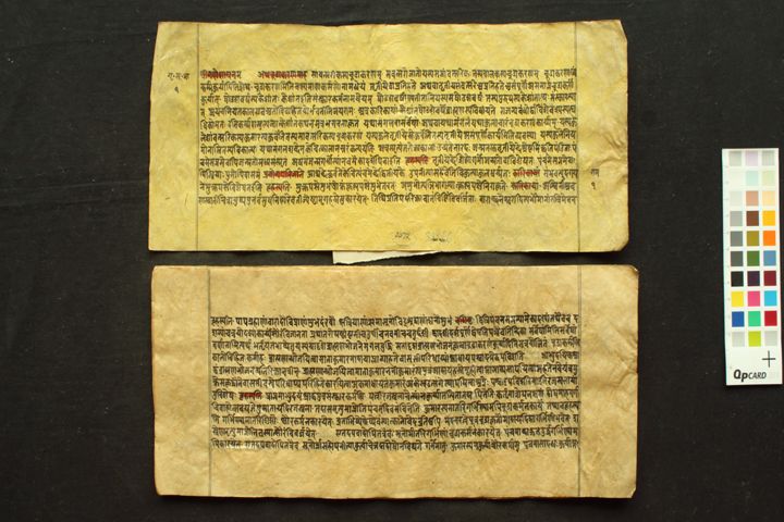 Pāraskara Gṛhyasutra Bhāṣya manuscript preview