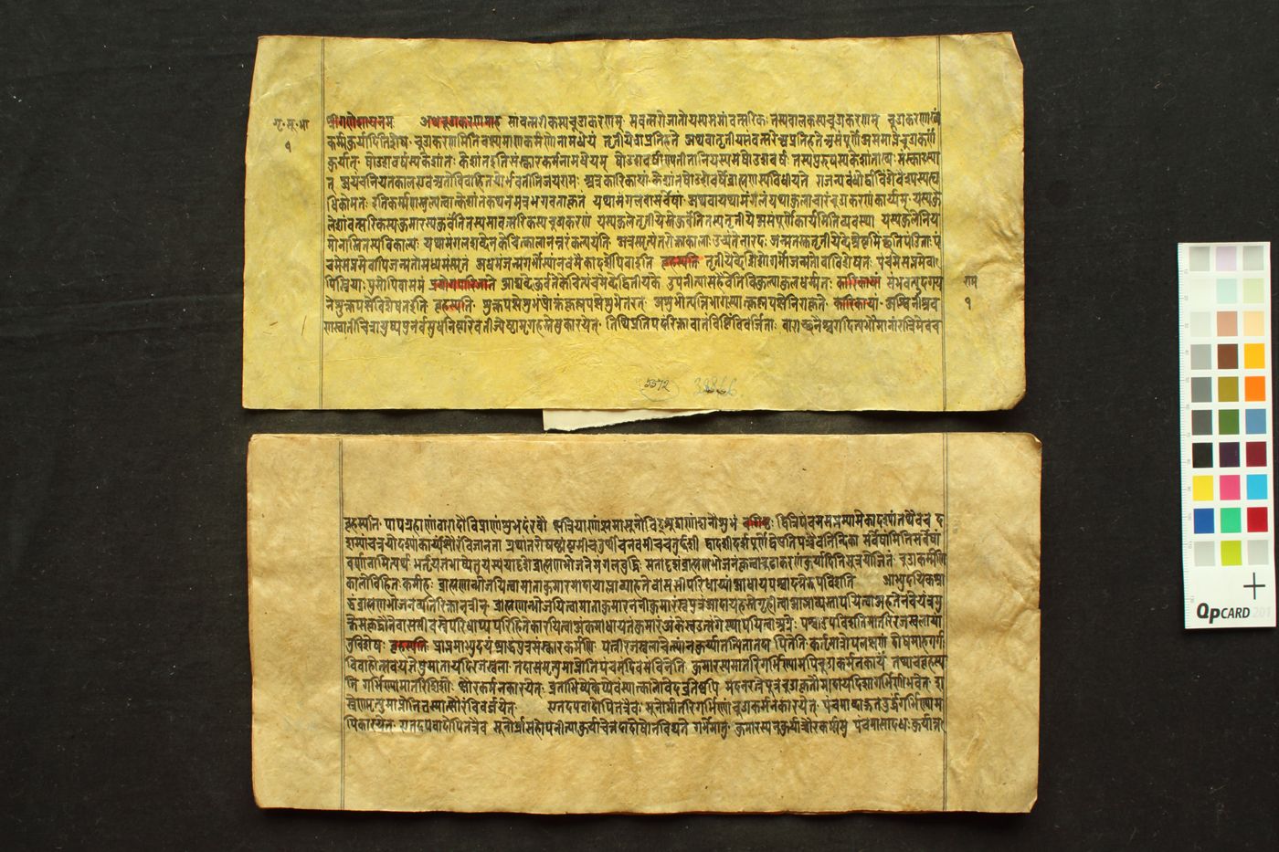 Pāraskara Gṛhyasutra Bhāṣya manuscript preview