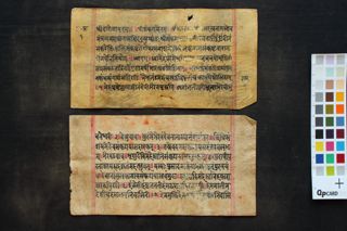 Saṃkaṭāsahasranāmākhyastotra folio 1