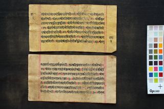 Saṃkaṭāsahasranāmākhyastotra folio 3