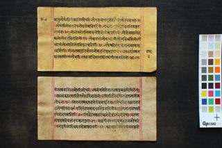 Saṃkaṭāsahasranāmākhyastotra folio 4
