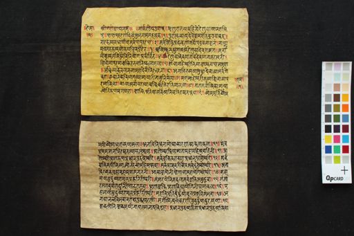 Reṇukāsahasranāmastotra manuscript preview