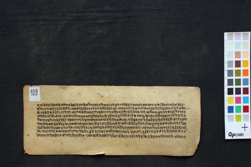 Vedāntaparibhāṣā manuscript preview