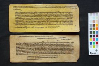 Vedāntaparibhāṣā folio 4