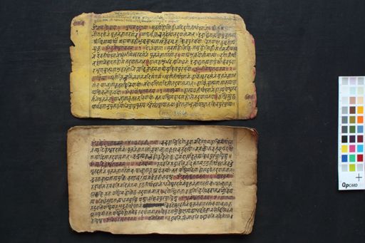 Catuḥṣaṣṭi-liṅgayātrā-māhātmya manuscript preview
