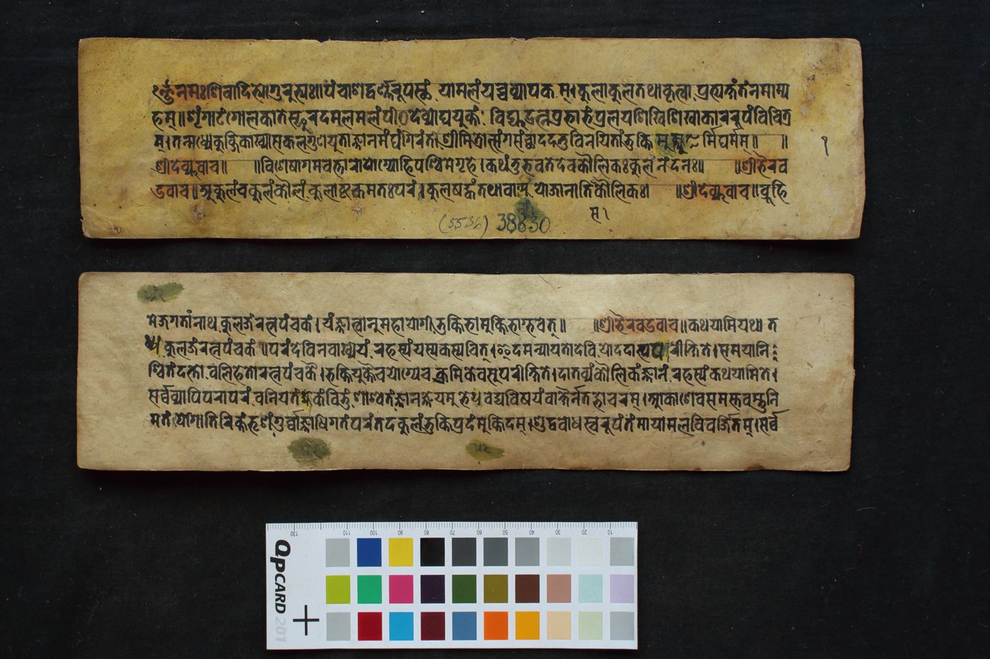 Śrīkula-mūlaratna-paṁcakāvatāra manuscript preview