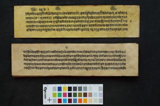 Śrīkula-mūlaratna-paṁcakāvatāra folio 4