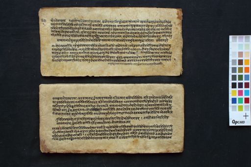 Triṁśacchlokī manuscript preview