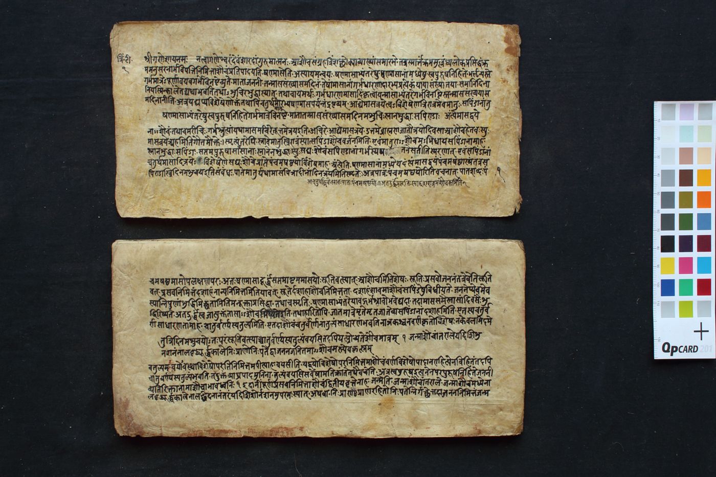 Triṁśacchlokī manuscript preview