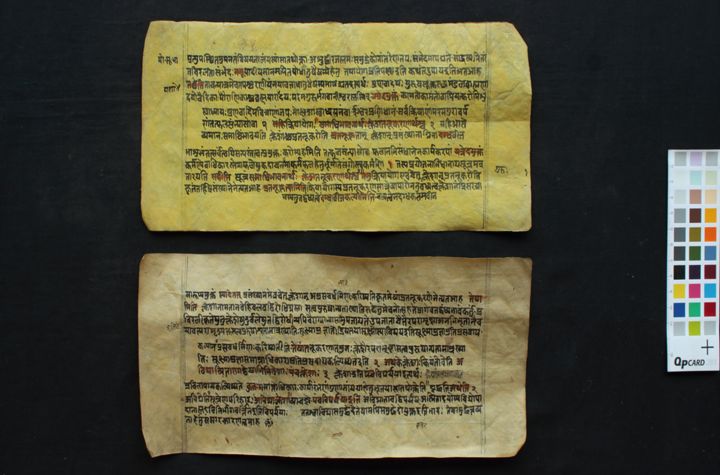 Yogasūtra manuscript preview
