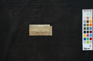Pīṭhāvatāra-strotra folio 1