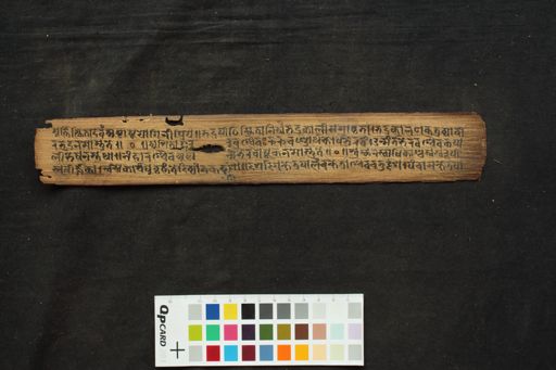 Pīthāvatāra-strotra manuscript preview