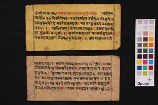 Koṣasāra Kāmaśāstra folio 2
