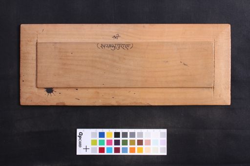 Svayambhūpurāṇa manuscript preview