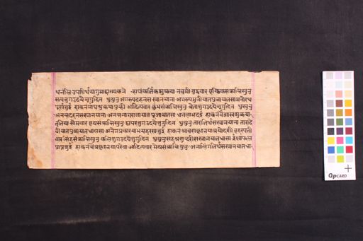 Fragment of Svayambhūpurāṇa manuscript preview