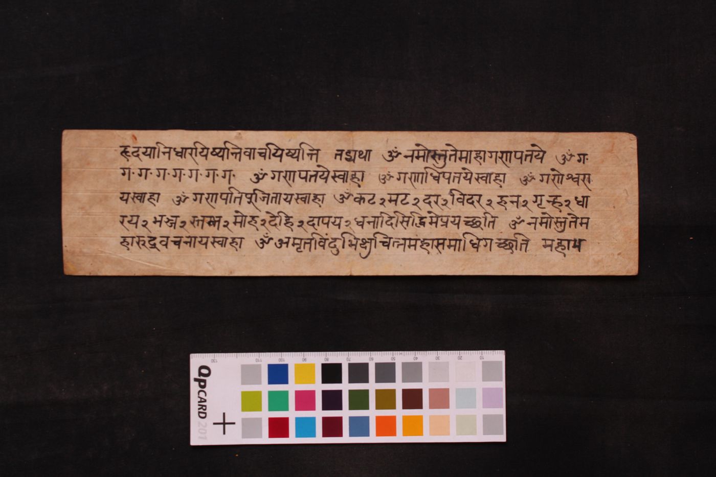 Fragment Misc manuscript preview