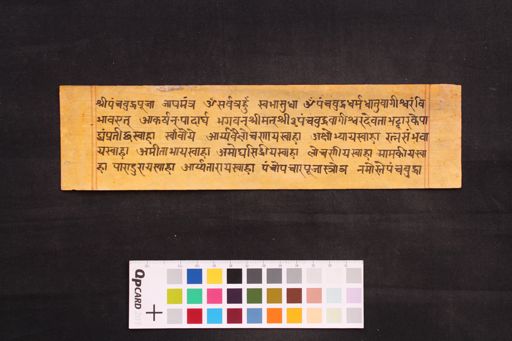 Pañcabuddha Pūjā Japamantra manuscript preview