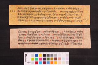 Śākyapūjā safau folio 4