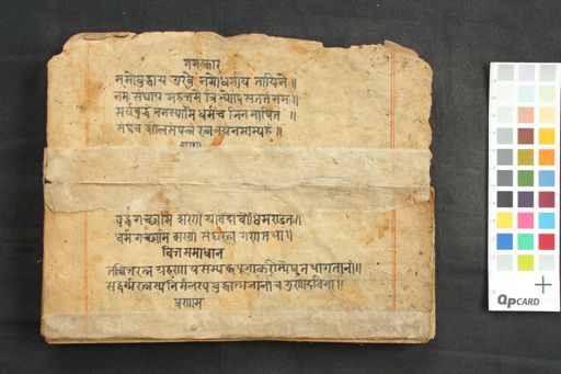 Collection of Dhāraṇi manuscript preview