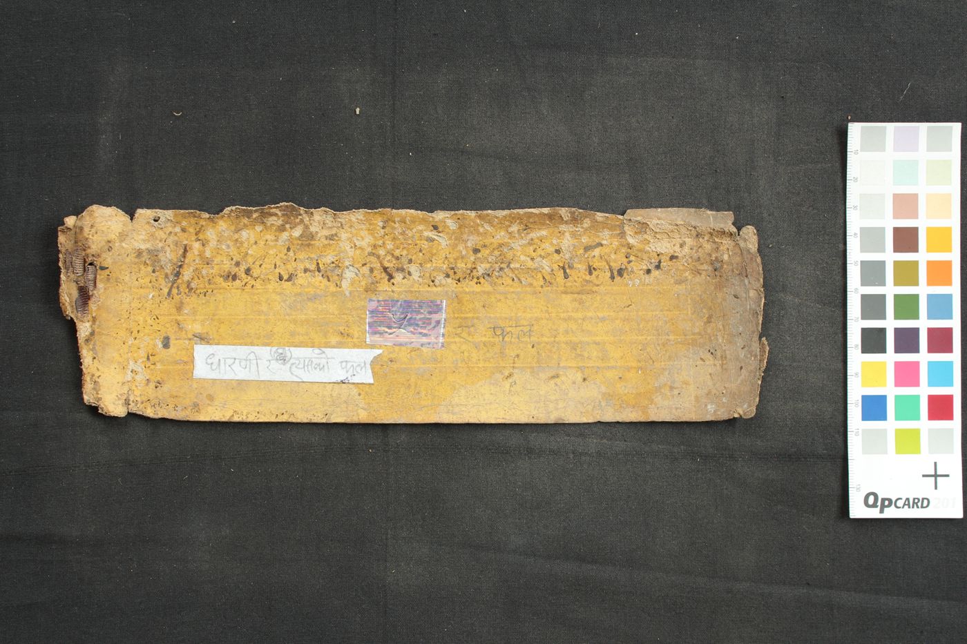 Collection of Dhāraṇi manuscript preview