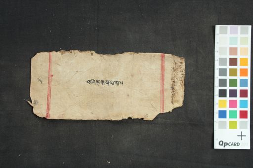 Saptavāra Dhāraṇī manuscript preview
