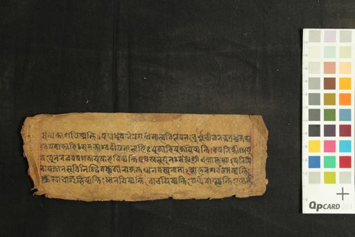 Ārya Aparimitāyunāma Dhāraṇī manuscript preview