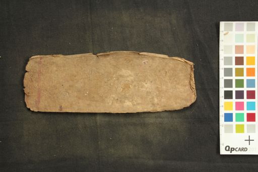 Ārya Tathāgatoṣṇiṣa Śitātapatronāmāparājitā Mahapratyāngira nāma Dhāraṇī manuscript preview