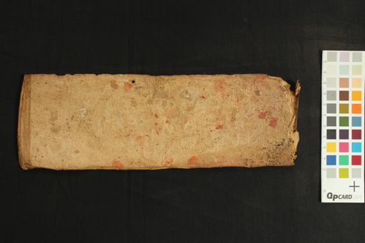 Pañcarakṣā Sutra manuscript preview