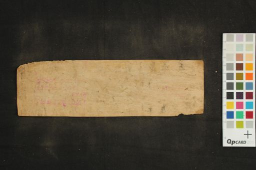 Ārya Tārā Bhattārikāyāḥ Nāmāstottara Śatakam manuscript preview