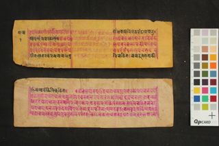 Ārya Tārā Bhattārikāyāḥ Nāmāstottara Śatakam folio 2
