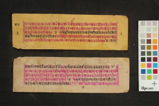 Ārya Tārā Bhattārikāyāḥ Nāmāstottara Śatakam folio 4