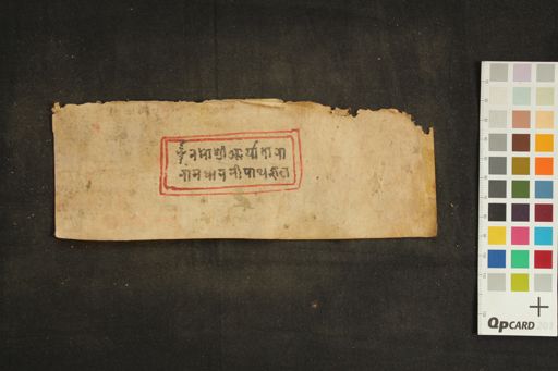 Ārya Tārānāma Dhāraṇī manuscript preview