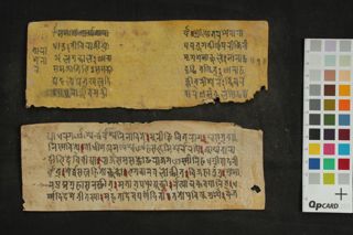 Ārya Tārānāma Dhāraṇī folio 2