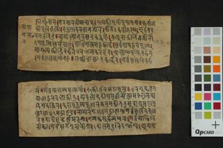 Ārya Tārānāma Dhāraṇī folio 4